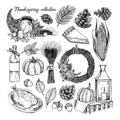 Hand drawn vector illustration - Thanksgiving collection. Perfect for invitations, greeting cards, prints, packaging  and more. Autumn design elements. Fall leaves