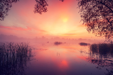 Fototapeta premium Early morning, dawn over the lake. Misty morning, rural landscape, wilderness, mystical feeling