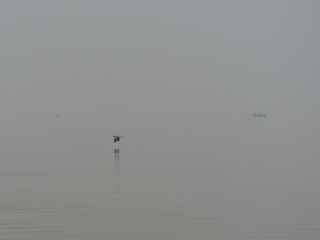 Autumn foggy day in Europe