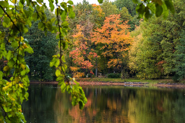 The shore of a pond with autumn trees through foliage