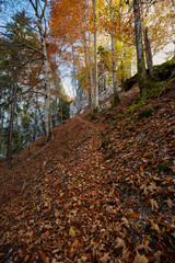 Autumnal landscape with hiking trail