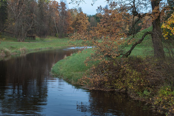 Autumn river with a water-bent tree. Autumn landscape