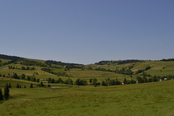 Fototapeta na wymiar rural meadow