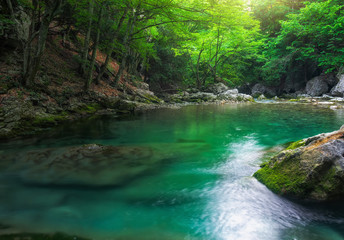 River deep in mountain at summer. Water stream at forest. Composition of nature
