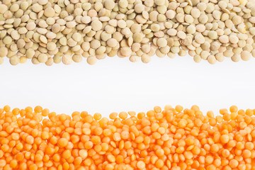 Two types of lentils - Lens culinaris