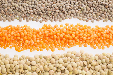 Three types of lentils - Lens culinaris