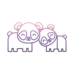 cute panda bears icon over white background vector illustration