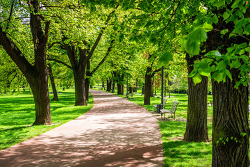 View on green path with trees through fields in Prague, Czech Republic