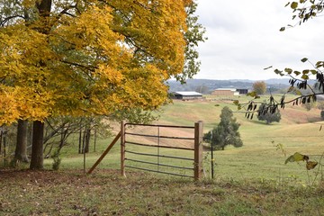 Autumn farm scene