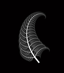 Obraz premium Wektor Wygenerowany komputerowo L-system Rozgałęziający się Fearn Barnsley Leaf Fractal - Generative Art