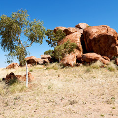 in australia the rocks  of devil  marble
