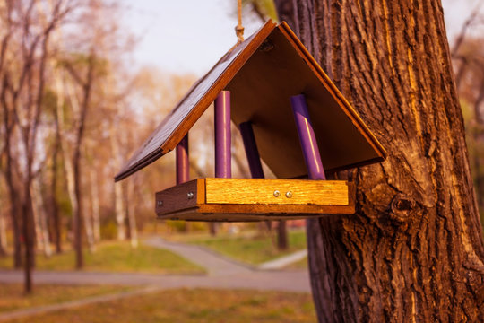 A bird feeder in the city park.