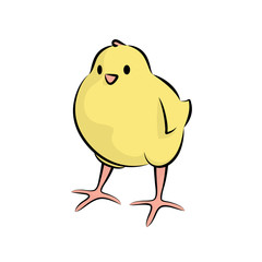 Cute Little Chick. Vector Illustration Of A Baby Chicken.Front View.