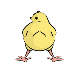 Cute Little Chick. Vector Illustration Of A Baby Chicken.Front View.