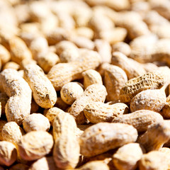 in the market lots of peanuts