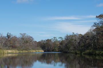 Wetlands of South Carolina
