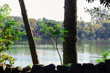 zoológico de são paulo