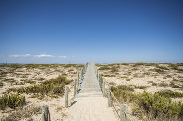 Plaża Faro, Portugalia © prozaque