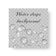 Organic background design for greeting card, leaflets with transparent drops of water.
