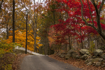 Autumn in New England