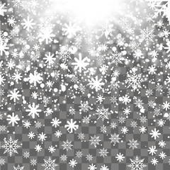 Falling shining snow or snowflakes on transparent background. Vector