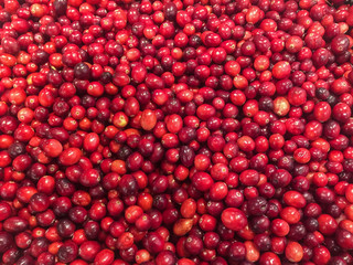 large amount of fresh red cranberries at the market