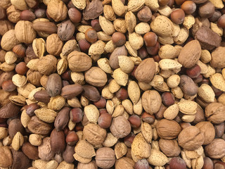 mixed nuts in shells 