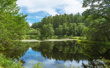 Fototapeta na wymiar 戸隠　小鳥ヶ池の風景
