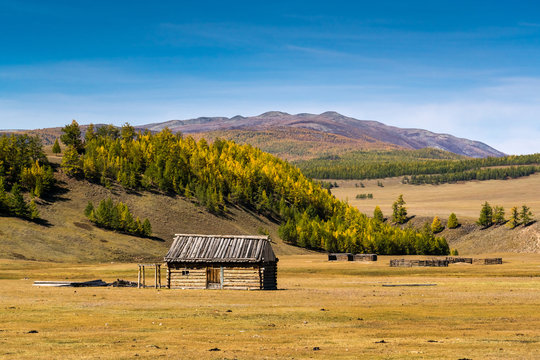 House of Mongolian shepherds in the Darkhat Valley