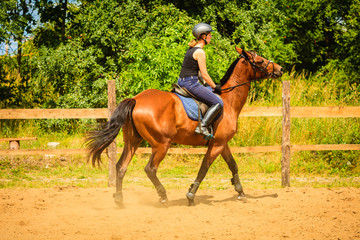 Obraz premium Jockey girl doing horse riding on countryside meadow