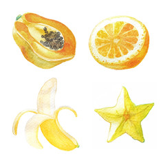 Hand dawn set with watercolor fruits, fresh food, star apple, papaya, orange, banana