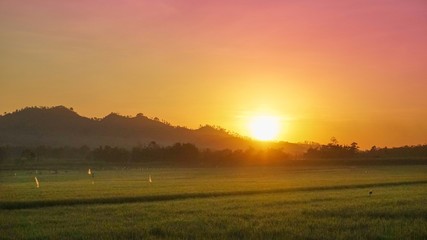 sunrise in the hill with rice field