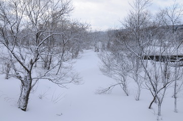 日本の冬景色