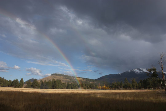 Kendrick Park Rainbow