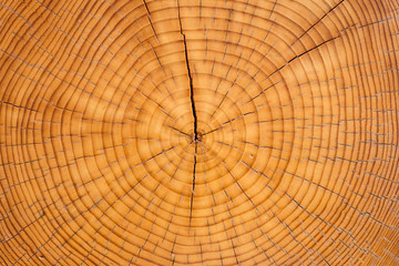 cut wood texture - 179933397