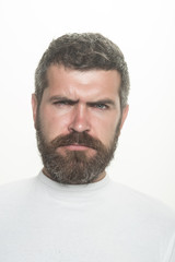 Fototapeta premium Man with long beard and mustache.