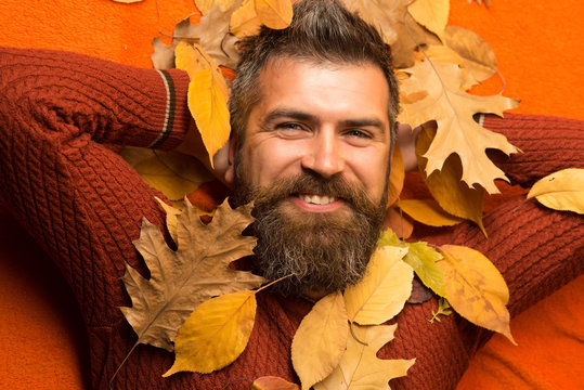 man with autumn leaves and beard on happy face