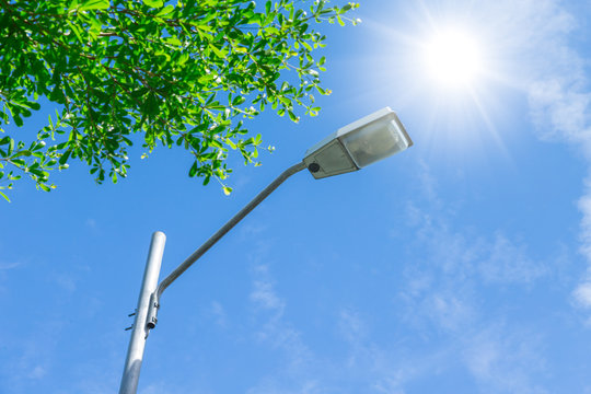 Outdoor road lamp on sunny day blue sky and green tree