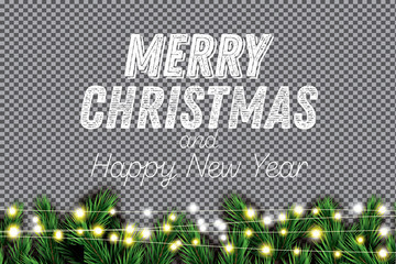 Fir Branch with Neon Lights on Transparent Background.