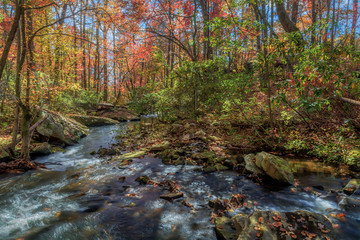 Fall Stream