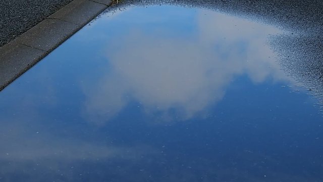 雨上がりの水たまり