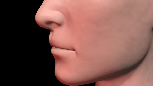 Age spots forming on skin, face. Head rotates partially. 3d animation