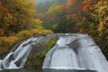 紅葉の釜淵の滝