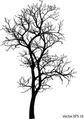 Dead Tree without Leaves Vector Illustration Sketched, EPS 10.