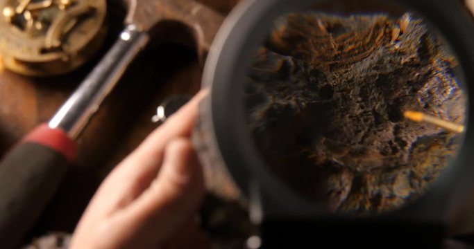 Cleaning a fossil under a microscope of ancient sea creature from Permian Period