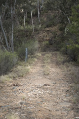 An unsealed Australian road in the Southern Highlands of NSW, Australia