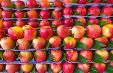 red apples for sale at market