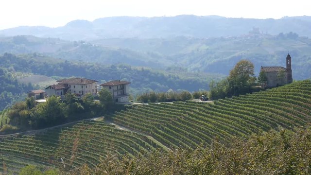 Langhe vigneti di vino Barbera in autunno