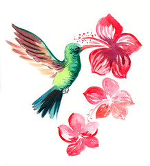Fototapeta premium Colibri and hibiscus flower