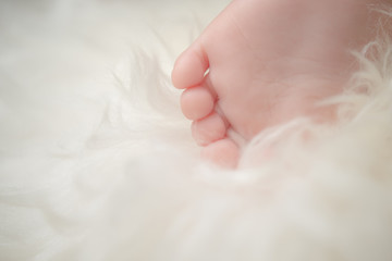 Bare feet of a cute newborn baby in warm white blanket. Childhood. Small bare feet of a little baby girl or boy. Sleeping newborn child.